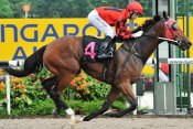 Ivaldo Santana made it three wins from as many rides aboard The Rude Warrior on Sunday.<br>Photo by Singapore Turf Club